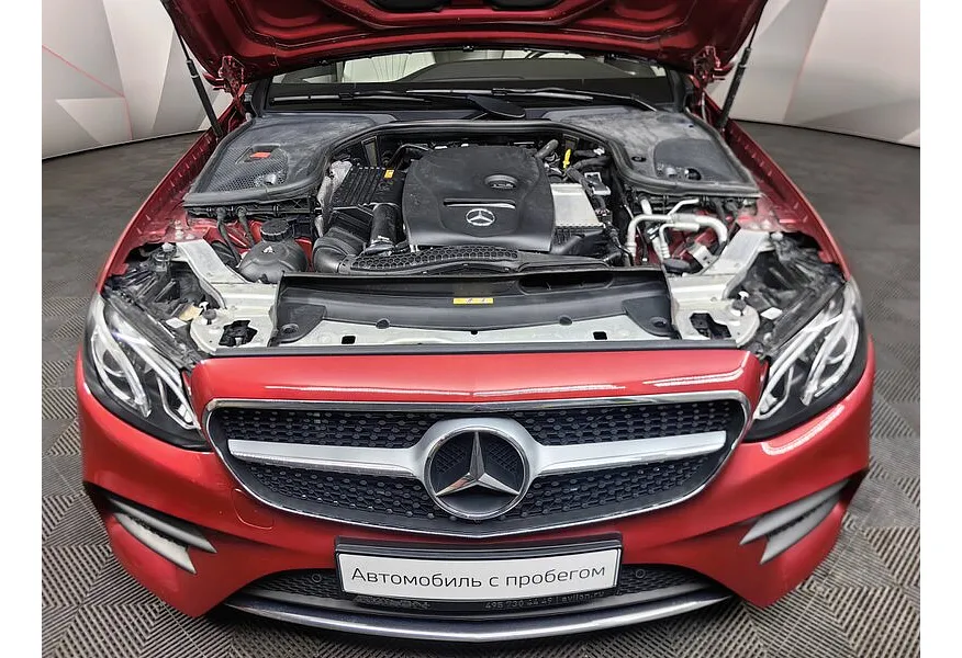 LIVE. Слайд №19