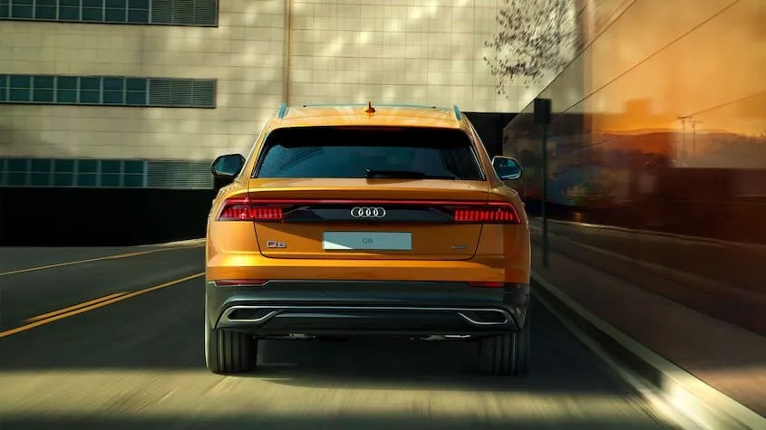 Audi в АВИЛОН