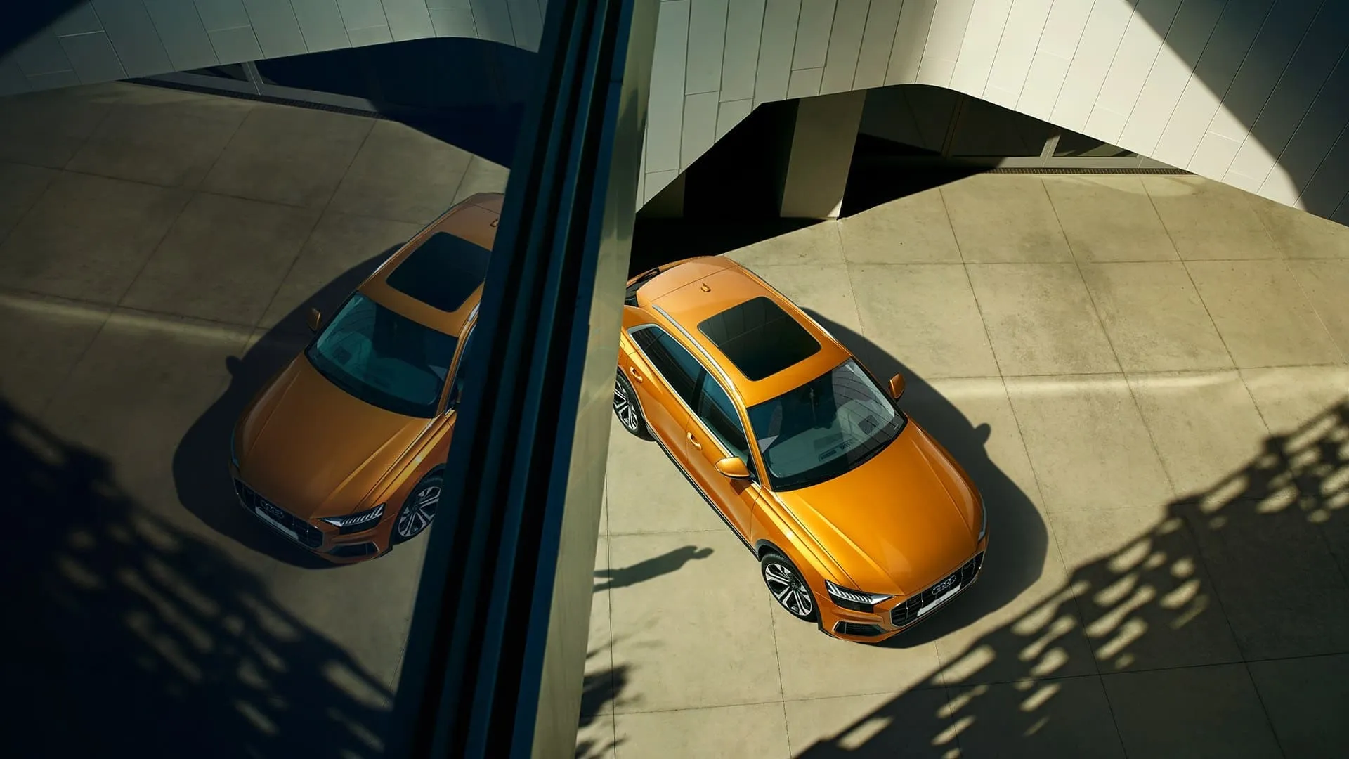 Audi в АВИЛОН