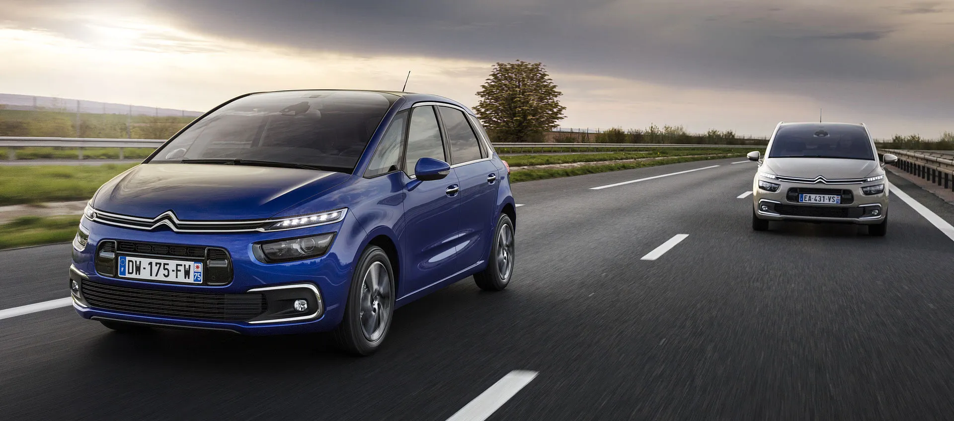 Citroen в АВИЛОН