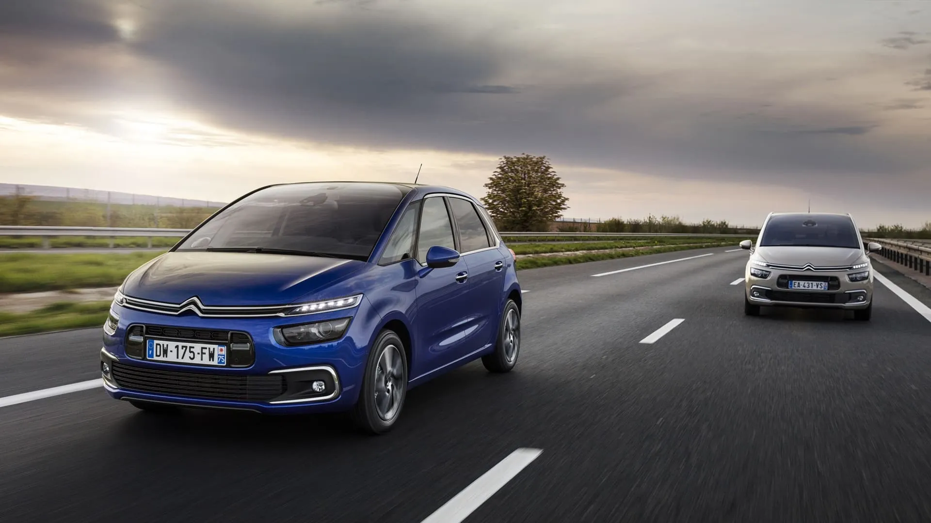 Citroen в АВИЛОН