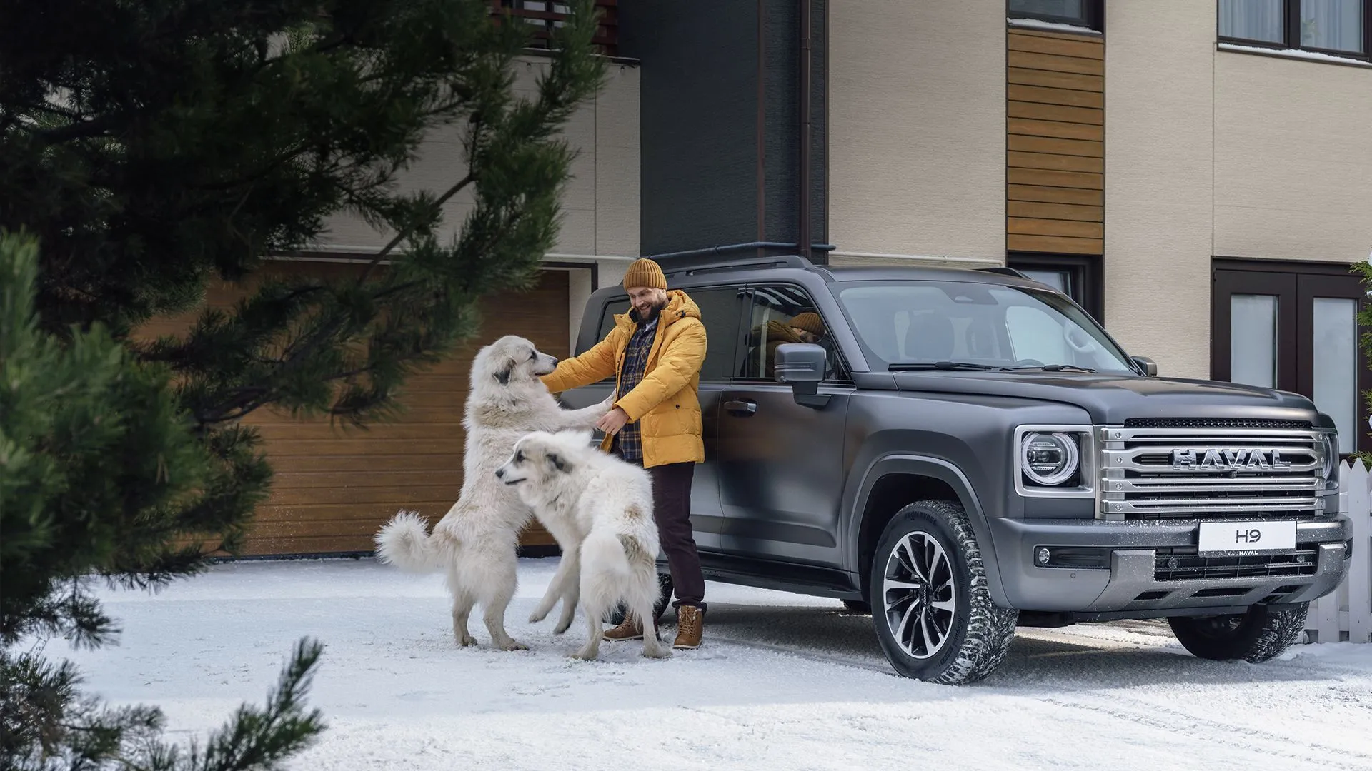 Haval Pro в АВИЛОН