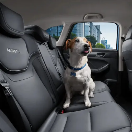 Haval Jolion в АВИЛОН