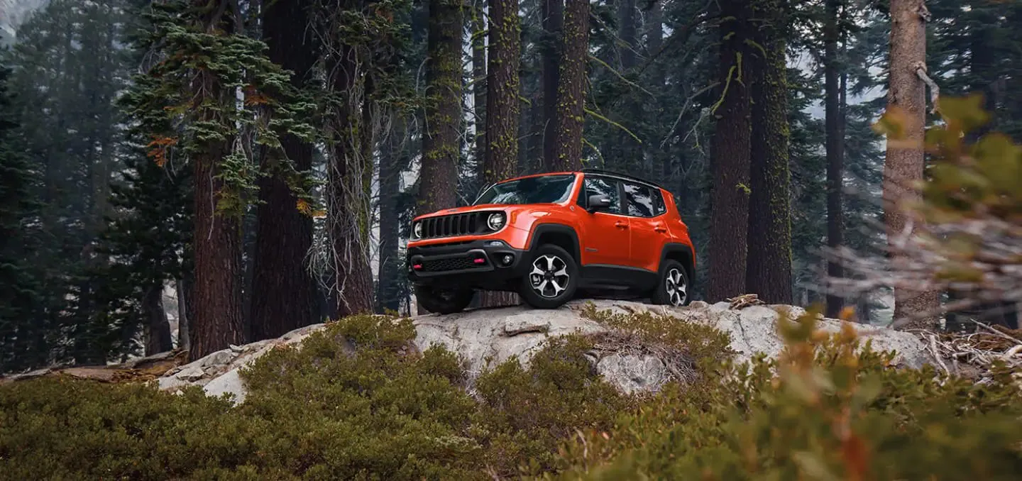 Jeep в АВИЛОН