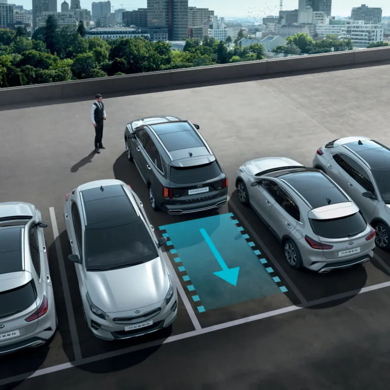 Kia Sorento в АВИЛОН