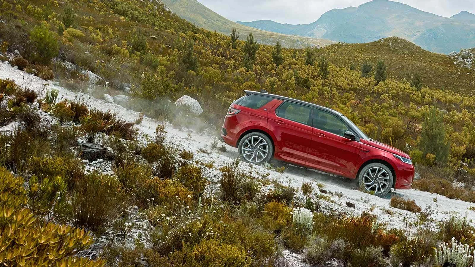 Land Rover Discovery Sport в АВИЛОН