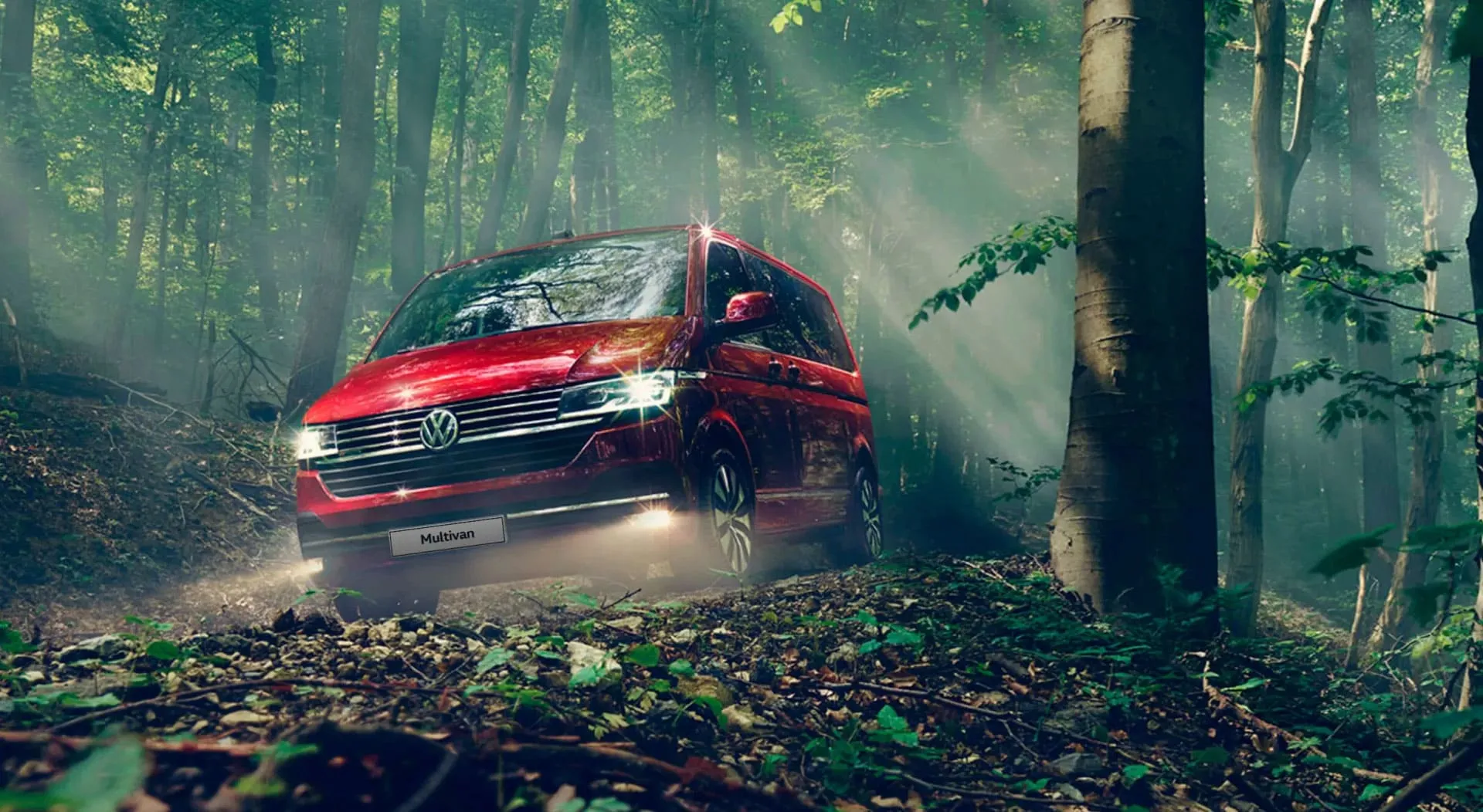 Volkswagen Multivan 6.1 в АВИЛОН