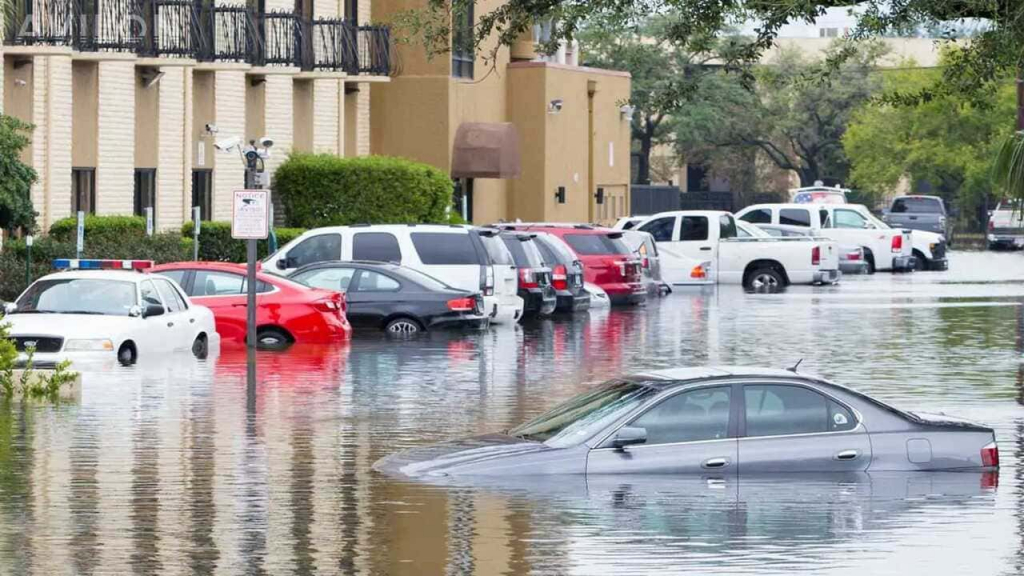 Трудности применения косгу 224