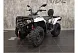 Loncin Xwolf 300 Max 271 см³ Серый